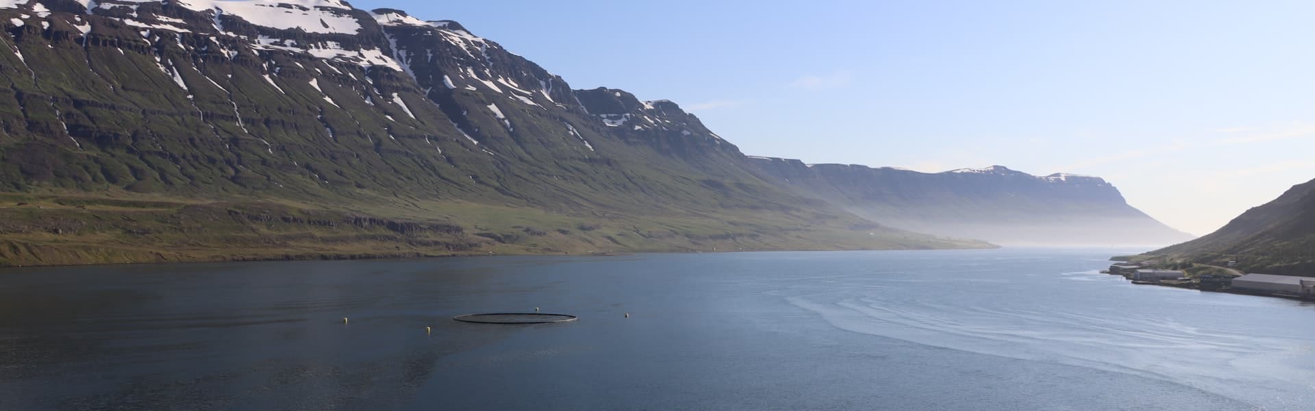 Útrás í fjórum lögsögum